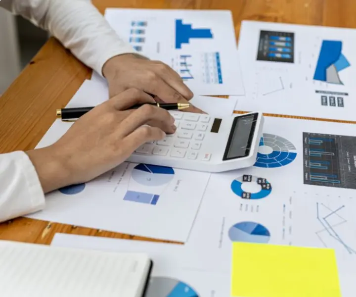 Raw Material Cost Analysis